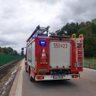Fotka nr 4 z 8