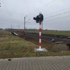 Fotka nr 1 z 3