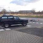 Fotka nr 4 z 8