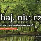 zdjęcie nr 10