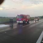 Fotka nr 5 z 8