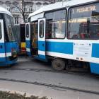 Fotka nr 5 z 13