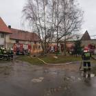 Fotka nr 5 z 7