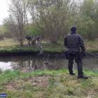 Fotka nr 2 z 12