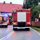 Fotka nr 4 z 12