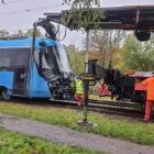 Fotka nr 1 z 22