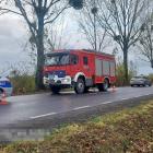 zdjęcie nr 11