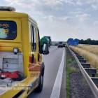 Fotka nr 1 z 8