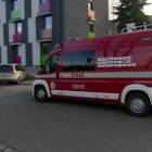 Fotka nr 2 z 4