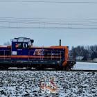 Fotka nr 3 z 10