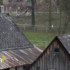 zdjęcie nr 7