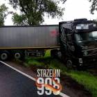 Fotka nr 4 z 11