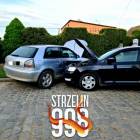 zdjęcie nr 8