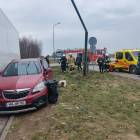 Fotka nr 2 z 4