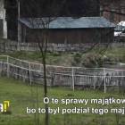 Fotka nr 1 z 7