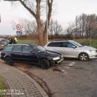 Fotka nr 2 z 4