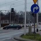 Fotka nr 3 z 11