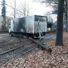 zdjęcie nr 19