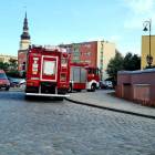 Fotka nr 5 z 6