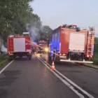 Fotka nr 1 z 15