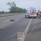 zdjęcie nr 8