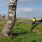 zdjęcie nr 17