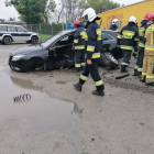 zdjęcie nr 9