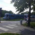 Fotka nr 1 z 5
