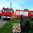 Fotka nr 4 z 13