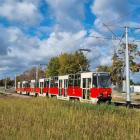 Fotka nr 5 z 7