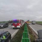 zdjęcie nr 14