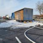 zdjęcie nr 7
