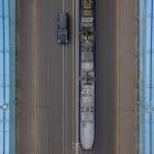 Fotka nr 4 z 8