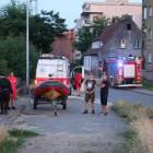zdjęcie nr 42