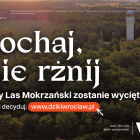 zdjęcie nr 28