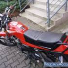 Fotka nr 2 z 3