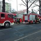 Fotka nr 2 z 14
