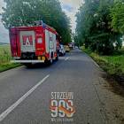 Fotka nr 5 z 7