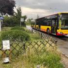 zdjęcie nr 8