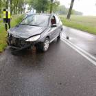 Fotka nr 1 z 4