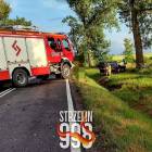 zdjęcie nr 15