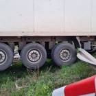 Fotka nr 2 z 8