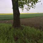 Fotka nr 0 z 5