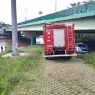 Fotka nr 5 z 13