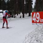 zdjęcie nr 73