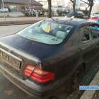 Fotka nr 2 z 4