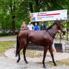 zdjęcie nr 33