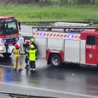Fotka nr 1 z 17