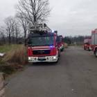 Fotka nr 4 z 11