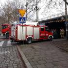 Fotka nr 2 z 4